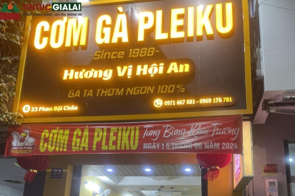 Cơm Gà Pleiku – Quán Cơm Gà Xối Mỡ & Cơm Gà Phố Núi Uy Tín