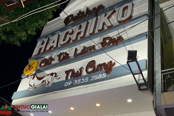 Hachiko Pet Spa Pleiku – Pet Shop – Siêu Thị Thú Cưng & Spa Chó Mèo Tại Gia Lai