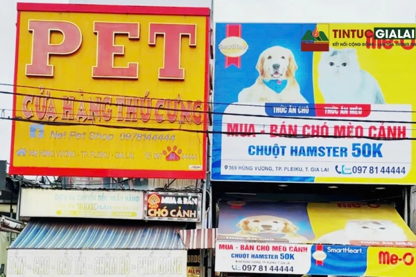 Net Pet Shop Pleiku – Pet Shop – Siêu Thị Thú Cưng & Spa Chó Mèo Tại Gia Lai