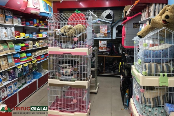 Top 5 Shop Thú Cưng Gia Lai (Pet Shop Pleiku) Đầy Đủ Phụ Kiện & Spa Chó Mèo