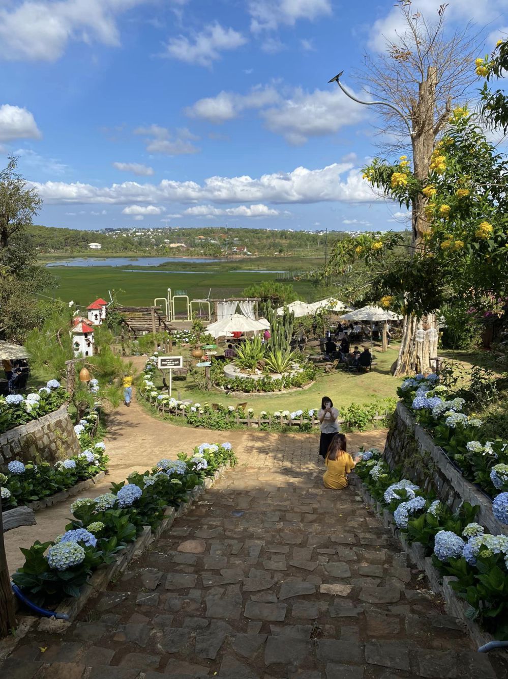 Thông Farm & Bistro – Cà Phê Đồi Thông Săn Mây Phố Núi Pleiku